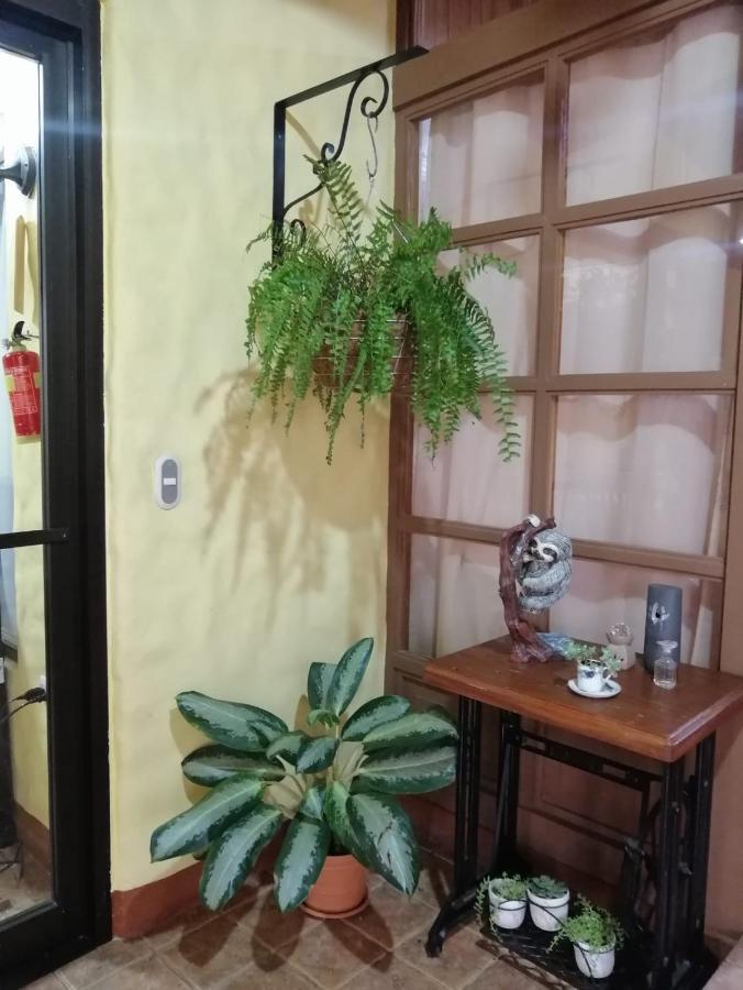 Hotel Santa Fe B&B Monteverde Ngoại thất bức ảnh
